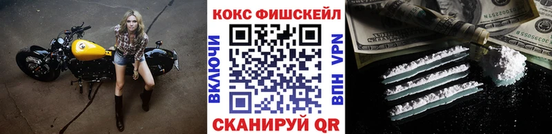 Купить закладки  Вилюйск  COCAIN FishScale 